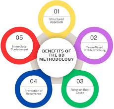 8D Methodology