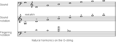 Notation Vienna Symphonic Library