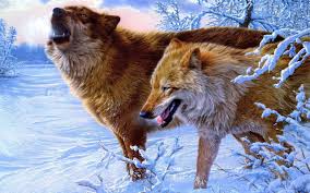 Posted by admin on november 18, 2018 if you don't find the exact resolution you are looking for, then go for original or higher resolution which may fits perfect to. Wolf Wallpaper 4k Images Slike