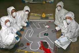 It's actually a murder mystery about your company. Team Building Murder Mystery Activities Red Herring Games