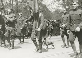 Image result for Slate 1918 Military