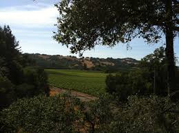 Home is a 3 bed, 2.0 bath property. Chalk Hill Road Chalk Hill Favorite Places Outdoor