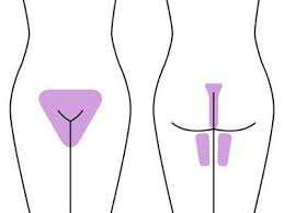 Brazilian Waxing Bikini Wax Beauty Salon Wellington