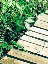 Maybe you would like to learn more about one of these? Drnate Drnate3 Twitter