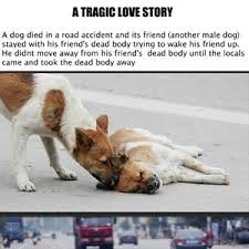 Pin On Sad Stories