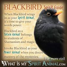 Birds And Their Spiritual Meanings Blackbird Symbolism Meaning Blackbird Spirit Totem Power Animal Power Animal Spirit Animal Totem Spirit Animal Meaning
