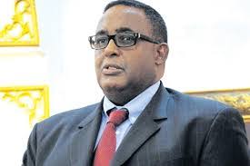 Somali PM meets Moroccan Foreign Minister in Istanbul