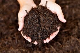 What's Your Mulch I.Q.? | Bonick Landscaping