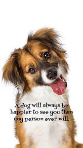 Cover your walls or use it for diy projects with unique designs from independent artists. 20 Free Dog Wallpapers I Phone And Android 20 Hd Sized Homescreen Wallpaper Dog Pictures Dog Wallpaper Cellphone Wallpaper Backgrounds Homescreen Wallpaper