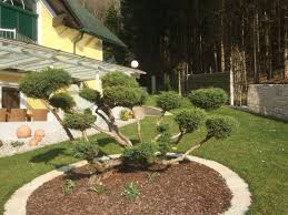 Riesen Bonsai Garten Bonsai