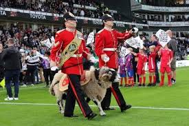 Derby county football club (/ˈdɑːrbi/) is a professional association football club based in derby, derbyshire, england. This Ram Has A Bank Account Accrues Holiday And Loves Pride Park A Morning With Private Derby Xxxii The Athletic