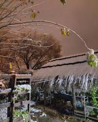 Check spelling or type a new query. Nestor Hidalgo On Twitter Nieve En Potrero De Garay