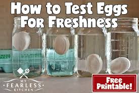 How To Test Eggs For Freshness My Fearless Kitchen