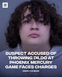 Kaden Lopez appeared in court facing charges including assault and  disorderly conduct (via: @fox10phoenix)