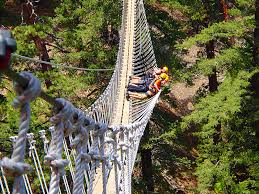 Ziplines at pacific crest is located in wrightwood. Our Canopy Tour Features 9 Ziplines Up To 1500 Ft Long Ziplinespc