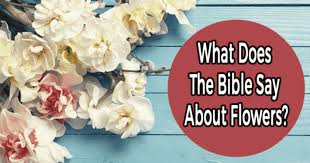 Popular bible verses about flower. Stop And Smell The Flowers What Does The Bible Say About Flowers Take The Quiz