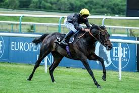 Best epsom derby winner odds 2020. English King Poised To Strike In Epsom Derby Bloodhorse