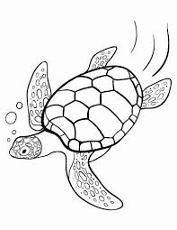 Printable Turtle Coloring Pages Lovely Printable Turtle Coloring Page Free Pdf At Turtle Coloring Pages Turtle Art Turtle Drawing