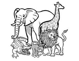 You can print or color them online at getdrawings.com for absolutely free. Free African Animals Coloring Page By The Harstad Collection Tpt