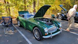 Image result for Racing Green 1963 Austin