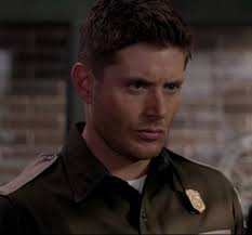 Riley Scott Crime Mystery Series by Royce Wilson