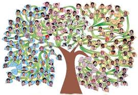Vous pouvez trouver plus de photos hd libres de droits dans notre collection jpg. Psycho Genealogie Et Genogramme Denouer Les Noeuds Familiaux