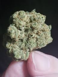 …the strain is recommended for its foggy effects and for pain relief. Grassroots Face Off Og Kush Is A Very Good Indica Strain From Grassroots That I Only Seen Once And They Use It To Make Other Strains It S Lineage Is Og Kush From The
