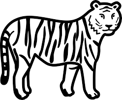 It has black stripes on the head, body, limbs, and tail. Free Printable Tiger Coloring Pages For Kids