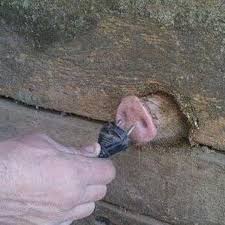 Enjoy and share your favorite beautiful hd wallpapers and background images. Daily Cursed Images Home Facebook
