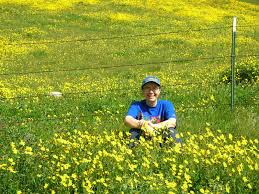We did not find results for: Ethics And Native Plants