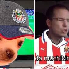 Horario, canal de tv en méxico y estados unidos, streaming online y posibles alineaciones. Chivas Guadalajara Memes Tras Eliminacion En Liguilla Liga Mx Ante Pachuca Twitter