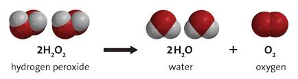 However, devil toothpaste is a mass explosion that requires a catalyst like potassium iodide or yeast, hydrogen peroxide, and soap to get started. Giant Devil S Toothpaste Experiment Sciencebob Com