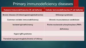 Image result for Humoral Immunodeficiency