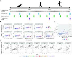 Environmental Variables May Influence B Cell Development And