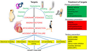 Heart Failure European Heart Journal Oxford Academic