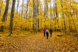 Notre hôtel de charme vous accueille au cœur de la normandie et offre le temps d'une nuit la vie de château. Grand Montreal Explorer Une Foret Pres De Chez Soi La Presse