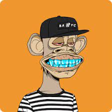 Bored Ape Yacht Club Marketplace On Opensea Buy Sell And Explore Digital Assets In 2021 Apes Monkey Art Yacht Club