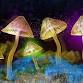 The Science of Psychedelics with Dr David Luke event image