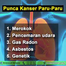 Kondisi ini bahkan menjadi salah satu penyebab utama dari kematian akibat kanker di seluruh dunia. Punca Kanser Paru Paru 1 Merokok Xtransscell Malaysia Facebook