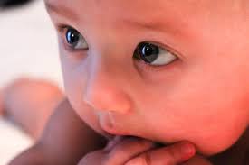 Sophiemarie Photography