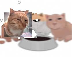 Silly cars Source: https://twitter  .com/doggorevo/status/1752737409375089103?t=3yc-ZNeg9VXzyLLbWZjg1Q&s=19