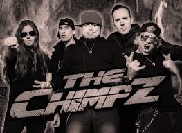 thechimpz wearing pickbay musician gifts guitarist gifts guitar pick holders