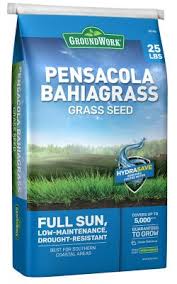 We receive outstanding support and second to none when it comes to knowledge of products with friend help every day. Groundwork Pensacola Bahia Grass Seed 25 Lb 266ax0002uc 25 At Tractor Supply Co