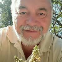 Jose Gilberto Reyes Salas