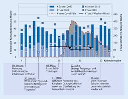 Um die freigabefunktionen auf dieser seite zu verwenden, aktivieren sie bitte javascript. Effektivitat Effizienz Und Sicherheit Der Schlaganfall Telemedizin In Zeiten Der Corona Pandemie Springerlink