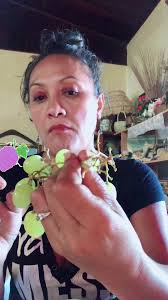 J'apprends tout simplement 😂 lol /—-Raisin en anglais //haa pii noa l...