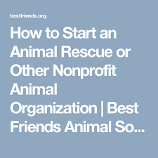 How To Start A Rescue Or Other Animal Nonprofit Animal Rescue Ideas Animal Rescue Center Pet Organization