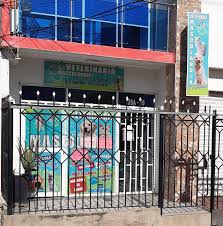 Veterinaria Mascolandia