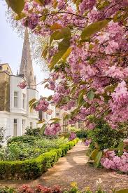 Shop 19 top mens off white chelsea boots and earn cash back all in one place. Where To See Magnolia And Cherry Blossom In London Printable Guide And Map