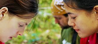 Everything About Wood: 01/30/17